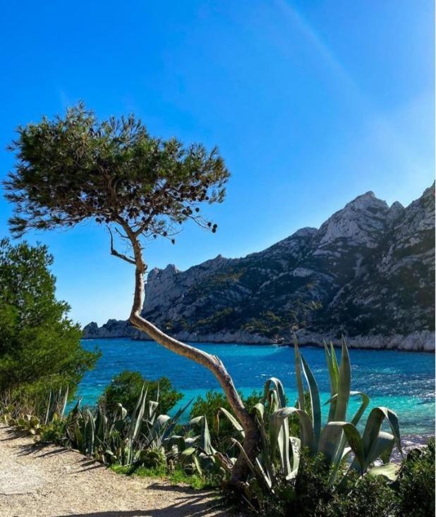 Le Cassidain - Port Et - Luxious